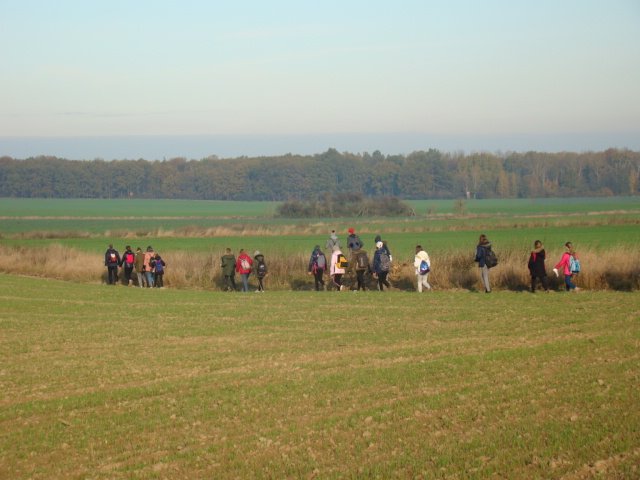 dsc05592